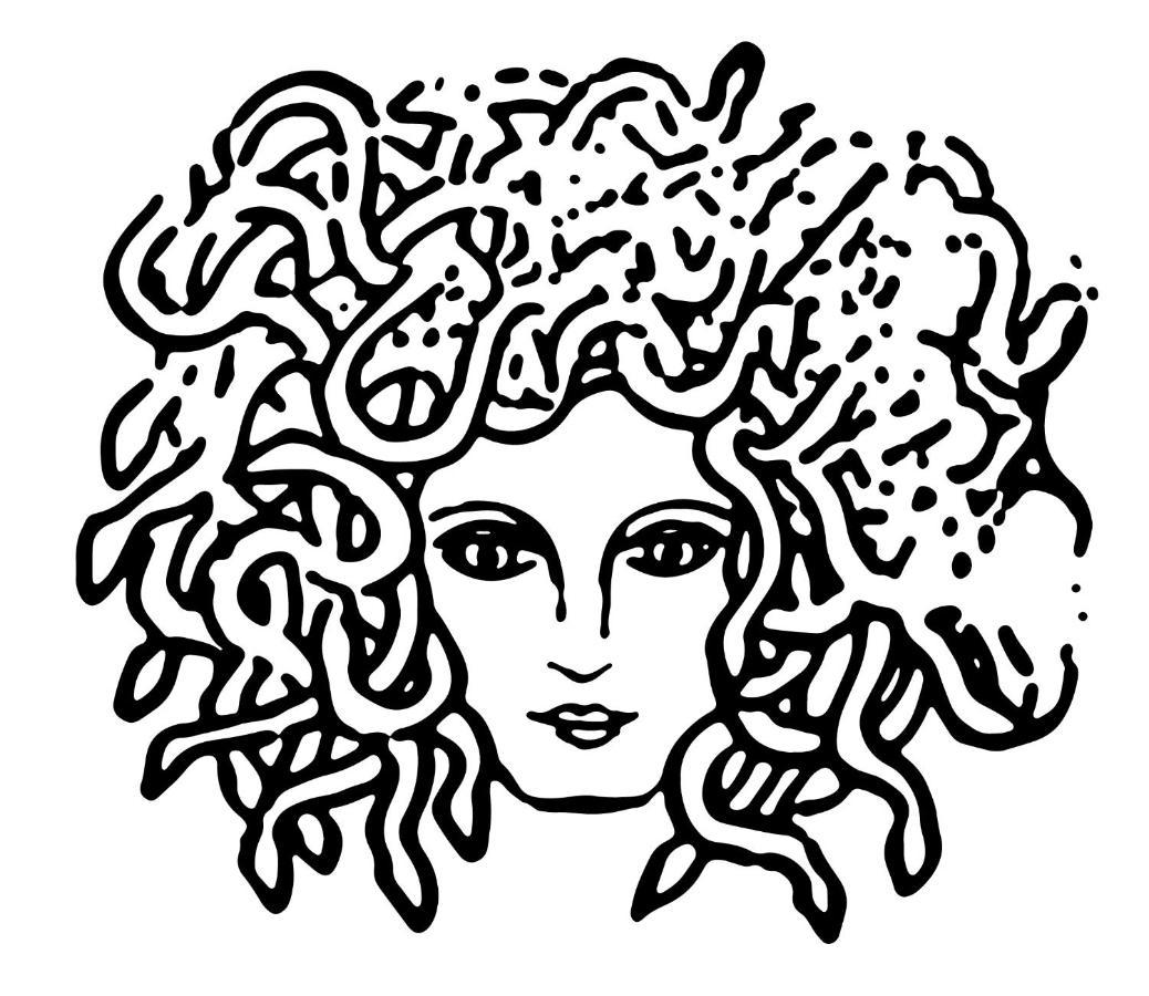 Medusa Duomo Guest House Neapol Zewnętrze zdjęcie